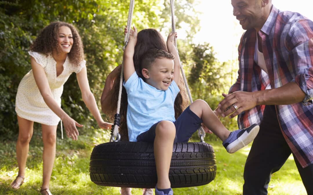 What To Look For In a Tree Swing